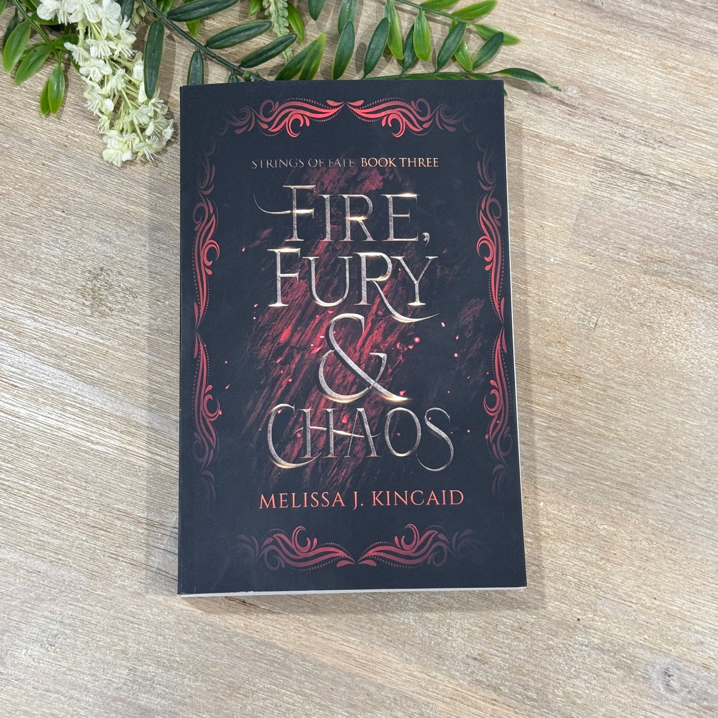 Fire, Fury & Chaos (Book Three) Paperback Black & White Interior